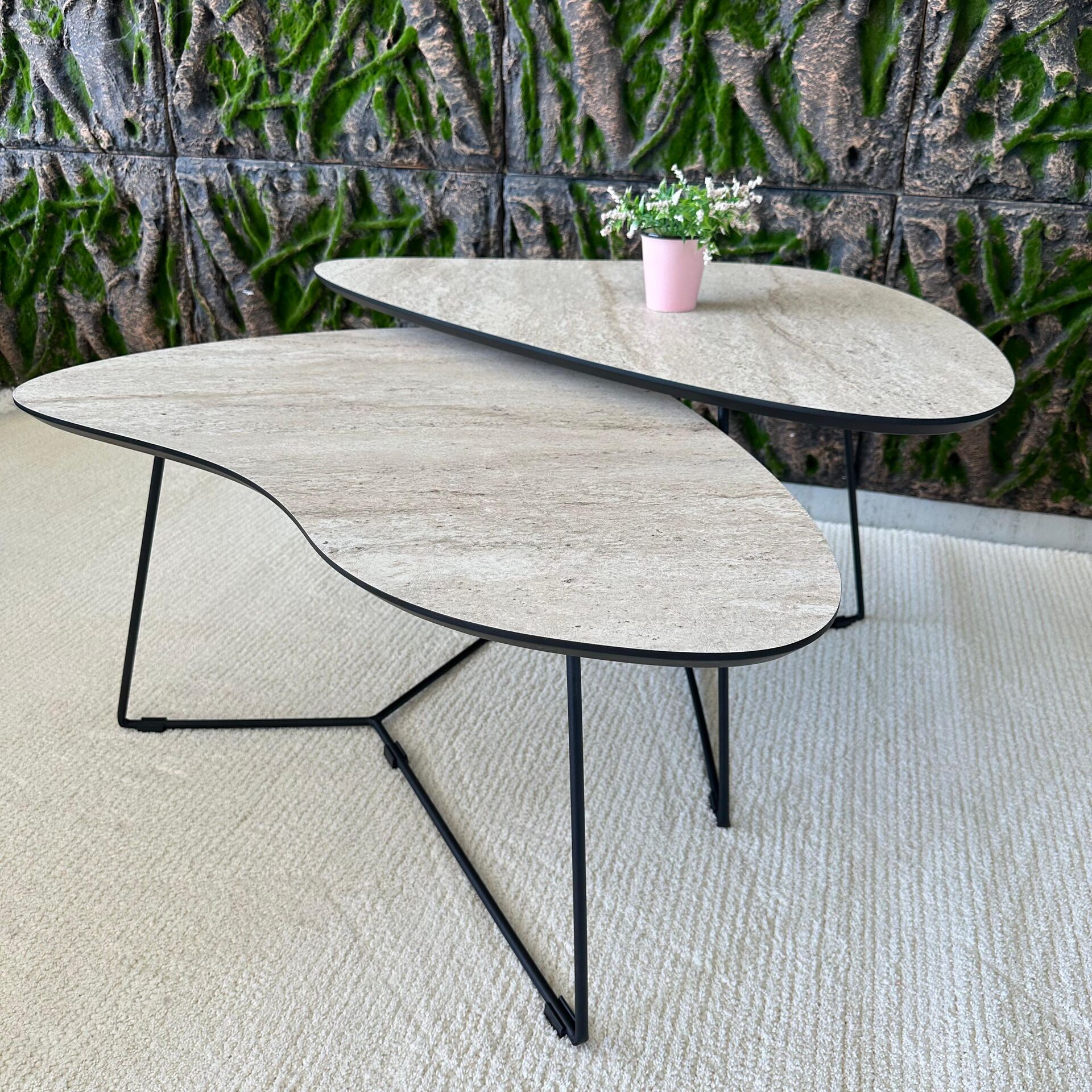 White pear-wood table